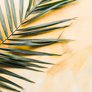 打工人学法 头像