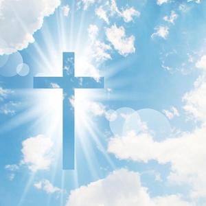 真理需用心领悟 头像