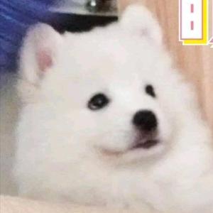 宋亚轩的芭比腿 头像