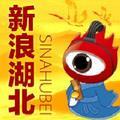 新浪湖北 头像