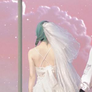 小小壁纸库 头像