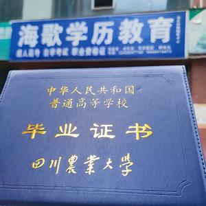 四川成人学历咨询师 头像