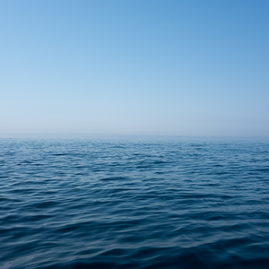 逍遥菌游戏解说 头像