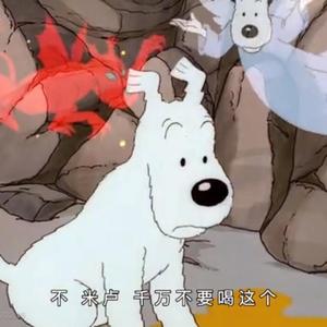 北魏考察团 头像