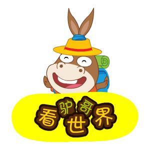 驴哥看世界 头像
