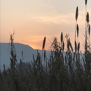 西安澜达电子 头像