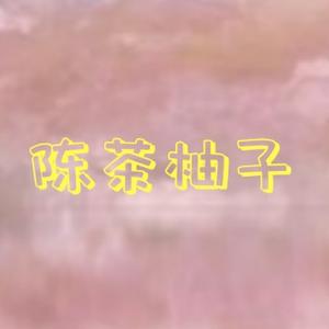 陈茶柚子 头像