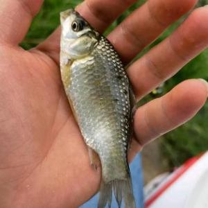户外钓鱼技巧 头像