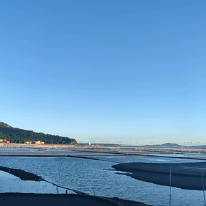 知音难觅零食大礼包 头像