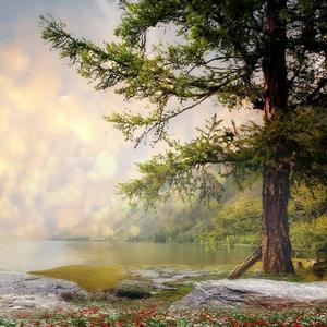 风一样的男子w9 头像