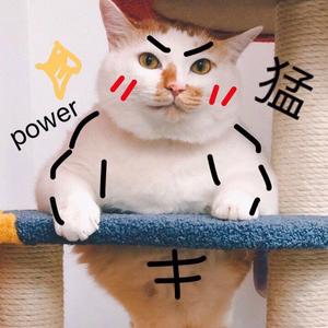 猛男吃鱼头像