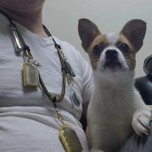 元宝和小黑的主人 头像