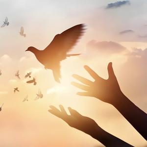 墙外浮生记 头像