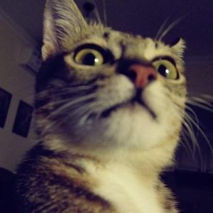 秋水他是水 头像