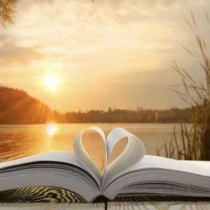 邀你一起赏枫红 头像