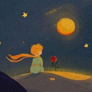 我的电影札记 头像