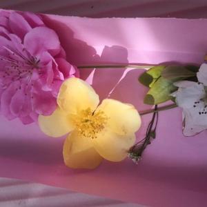 用心点生活 头像