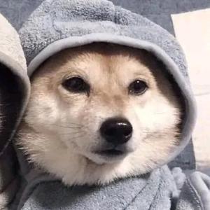 独享壹世界 头像