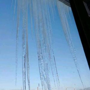 蕾蕾爱炒股 头像