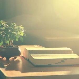 悟空问答 你怎样理解 苔花如米小 也学牡丹开 的含义 为什么 28个回答