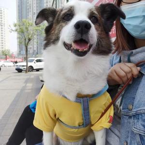 牛牛不是妈宝 头像