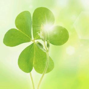 大工小马达 头像