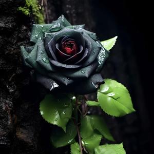 白小静Aries 头像