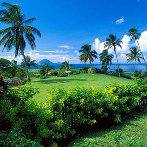 everyday英语 头像