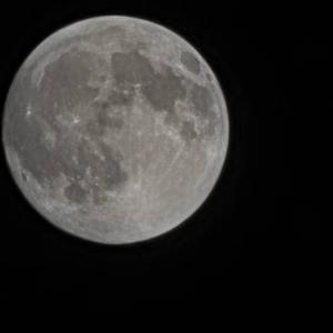 给生活加点料 头像