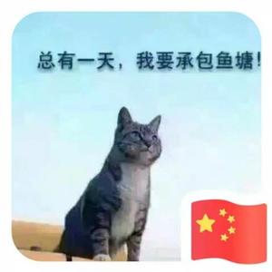 暂时有相机 头像
