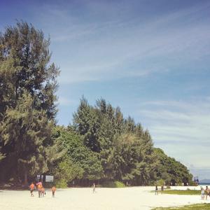 开开心心乐开怀 头像