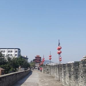 河南林师傅头像