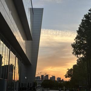 胐胐的书签 头像