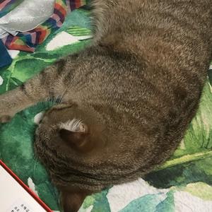 不知名媒体人 头像