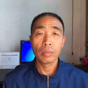 飞龙在天传统文化 头像