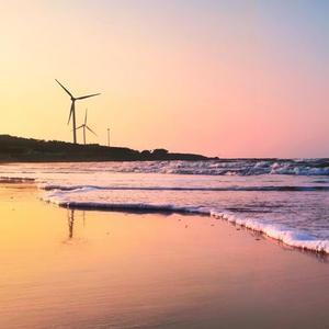 火星的小蘑菇 头像