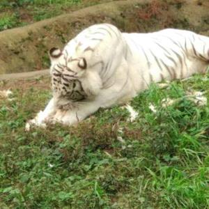 韦先生野钓爱好者 头像