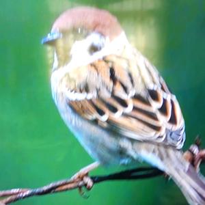 用户4418738329906 头像