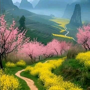 山川地理堪舆实务传统文化工作室 头像