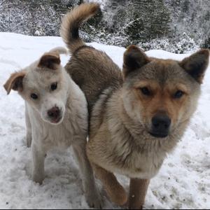 石梁子土蜂哥 头像