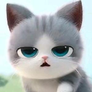 猫雪琪 头像