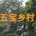 五宝乡村 头像