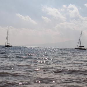 @头号粉丝 头像