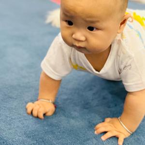 hello我叫小锤子 头像
