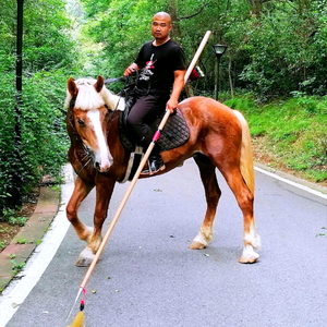 武术二胖头像