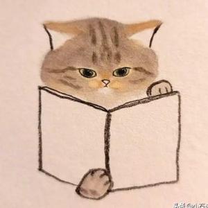 姐看书不装B 头像