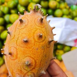 鞋子好不好只有脚知道 头像