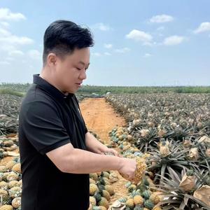 侠鹿相逢 头像