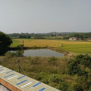 冷眼哥