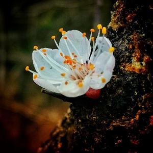 浪迹天涯我爱我家1902 头像